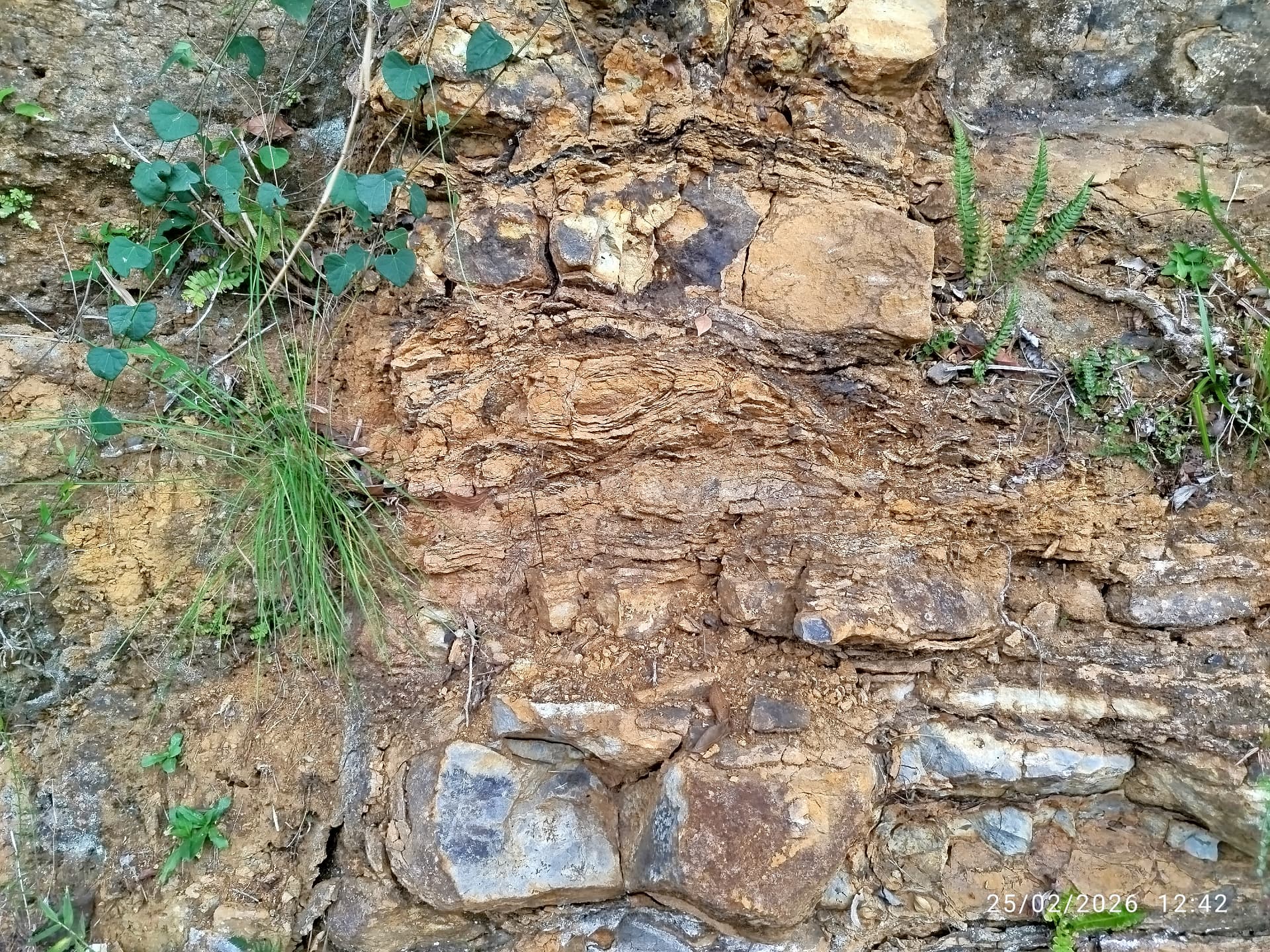 Laudo geológico e de meio físico - foto 18
