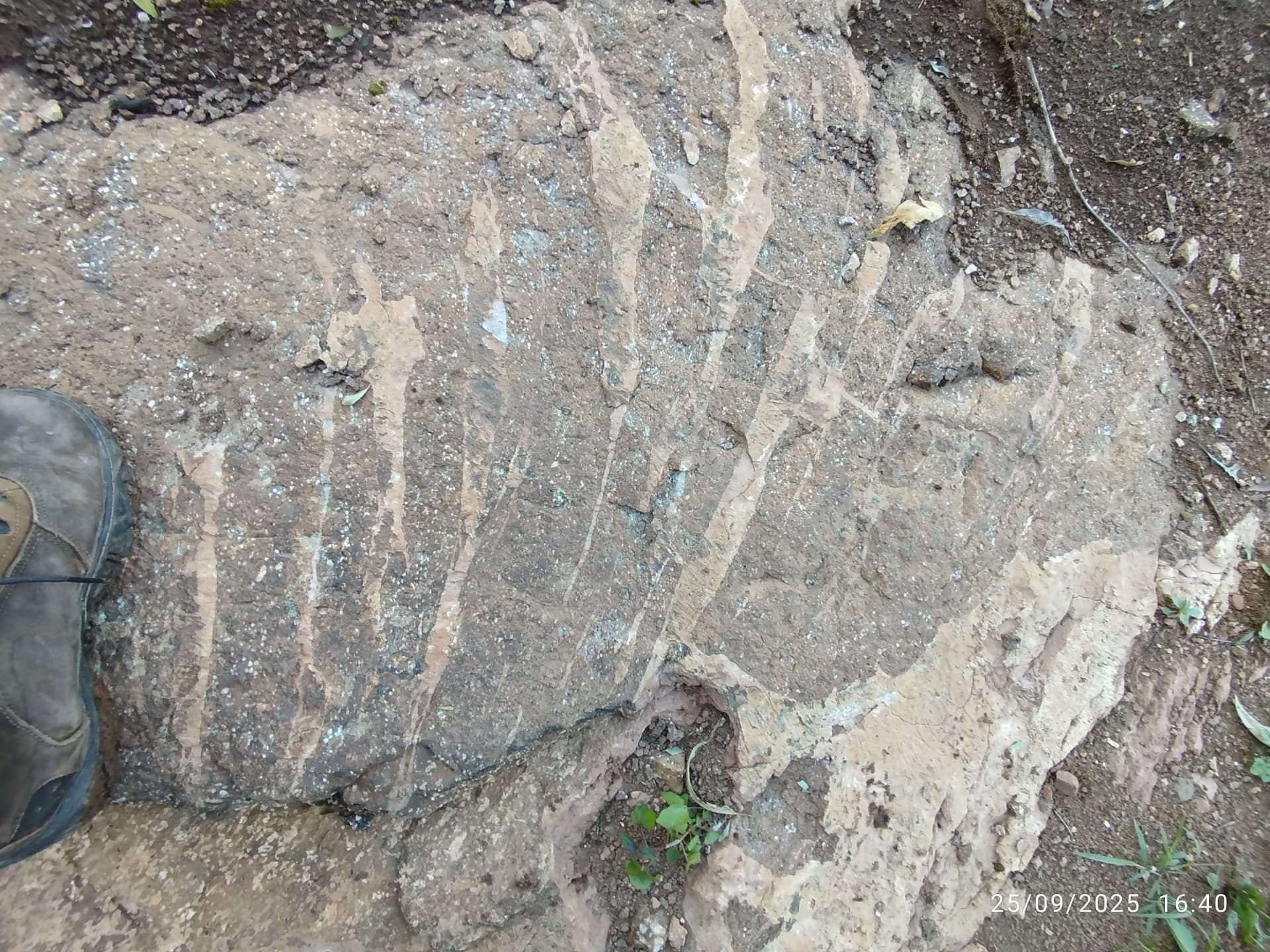 Laudo geológico e de meio físico - foto 11