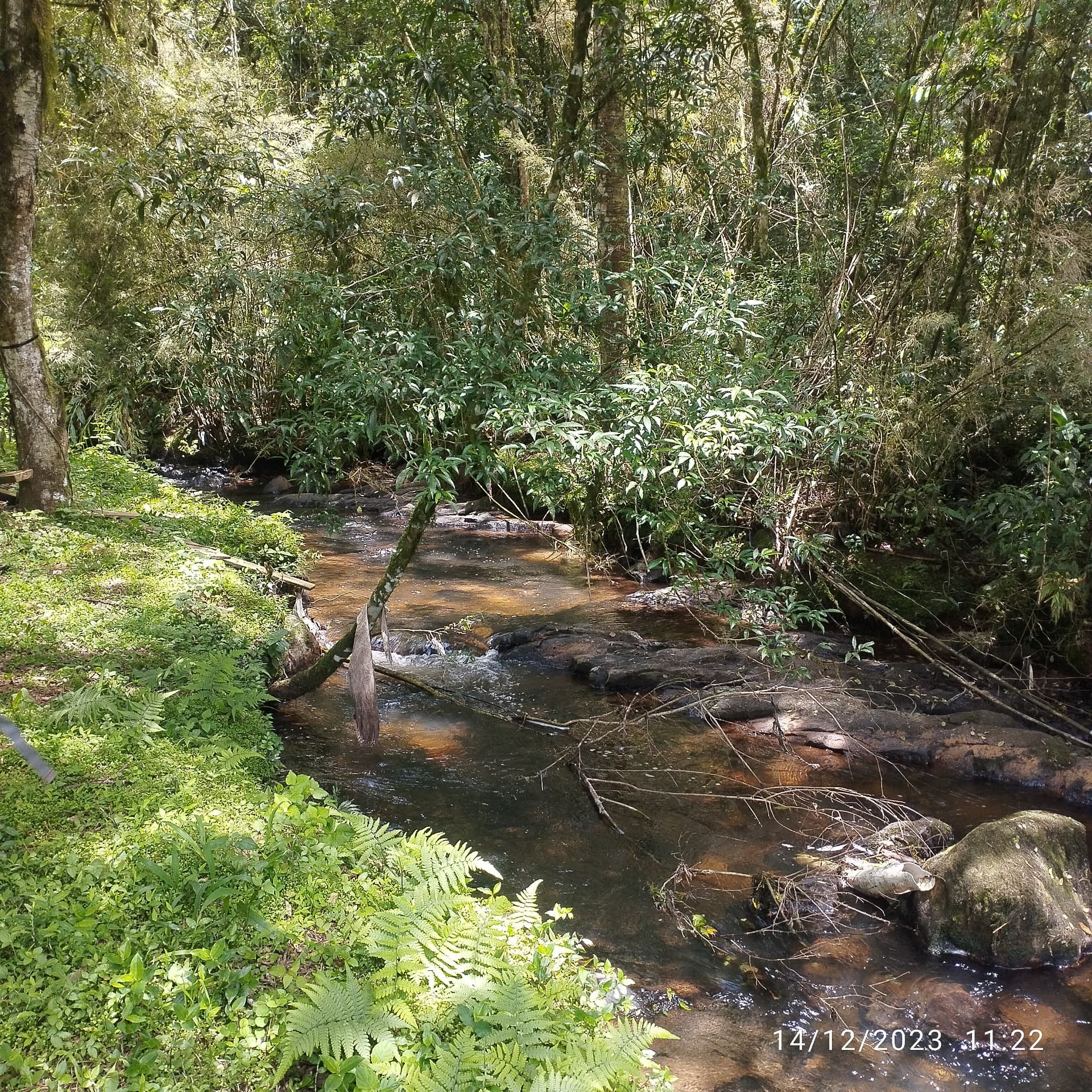 Laudo geológico e de meio físico - foto 13