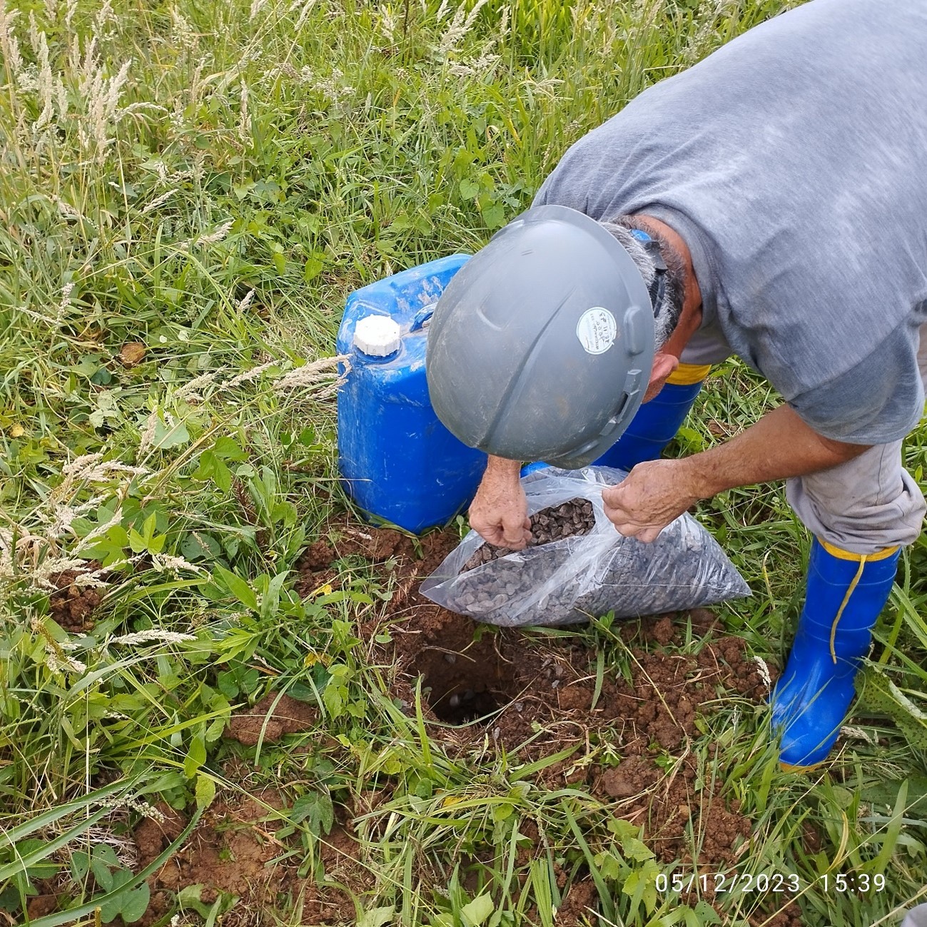 Ensaios de Campo